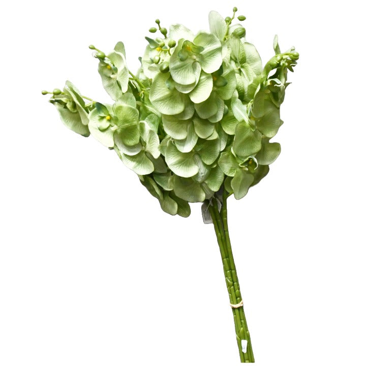 Green 38" Satin Orchid Spray 8 Flowers C/P 96