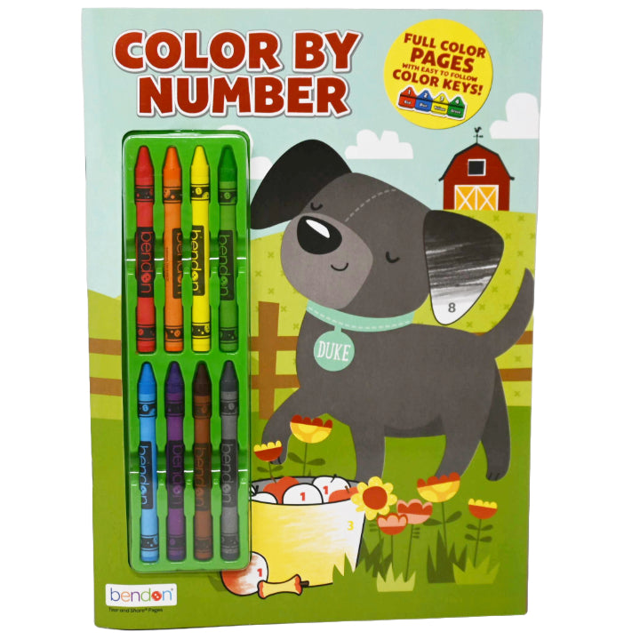 COLOR BY NUMBERS COLORING BOOK WITH CRAYONS C/P 48