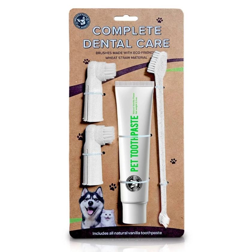 4pc Complete Pet Dental Kit Vanilla Precious Tales C/P 48