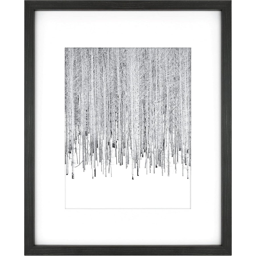 16X20" BLK MATTED WOOD FRAME C/P 1