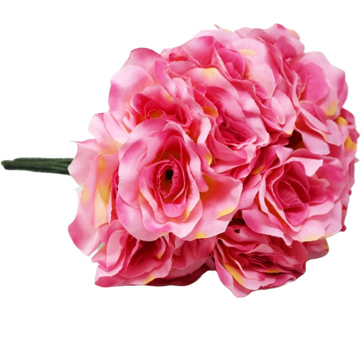 ABeauty Rose Bush 5 Flowers C/P 288