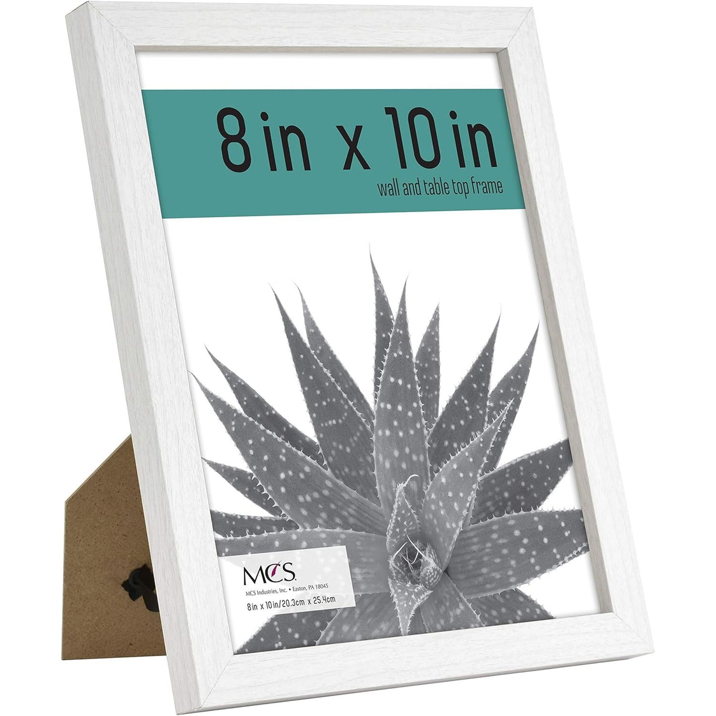 6pk 8X10" WHT WOODGRAIN FRAME C/P 1