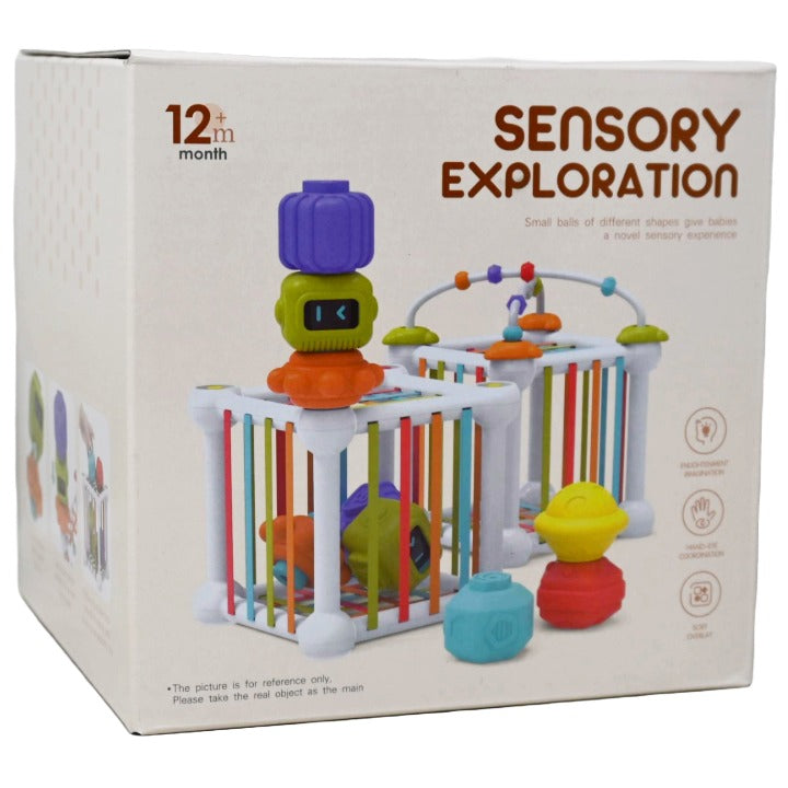 Explore Sensory Toy C/P 36 Boxgear