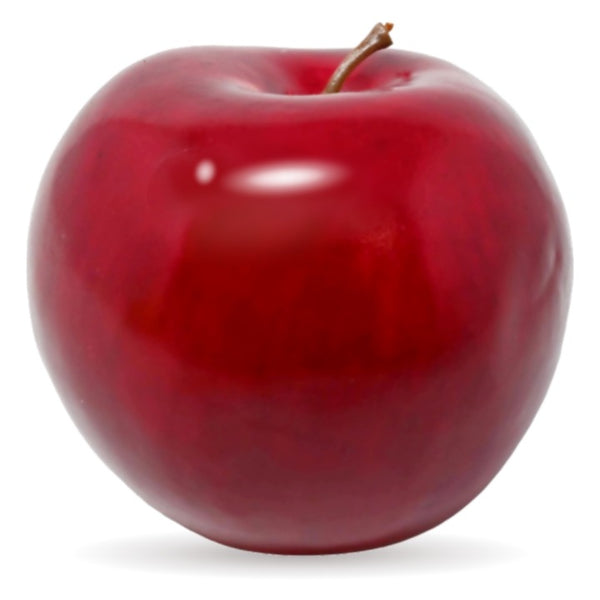 *NO CA*Shiny Rd Apple C/P 288