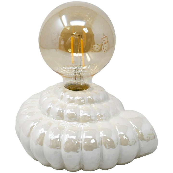 Shell LED Table Lamp Décor C/P 12