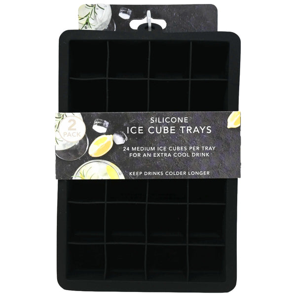 2pk Gry 24 Grid Sil Ice Cube Trays C/P 48