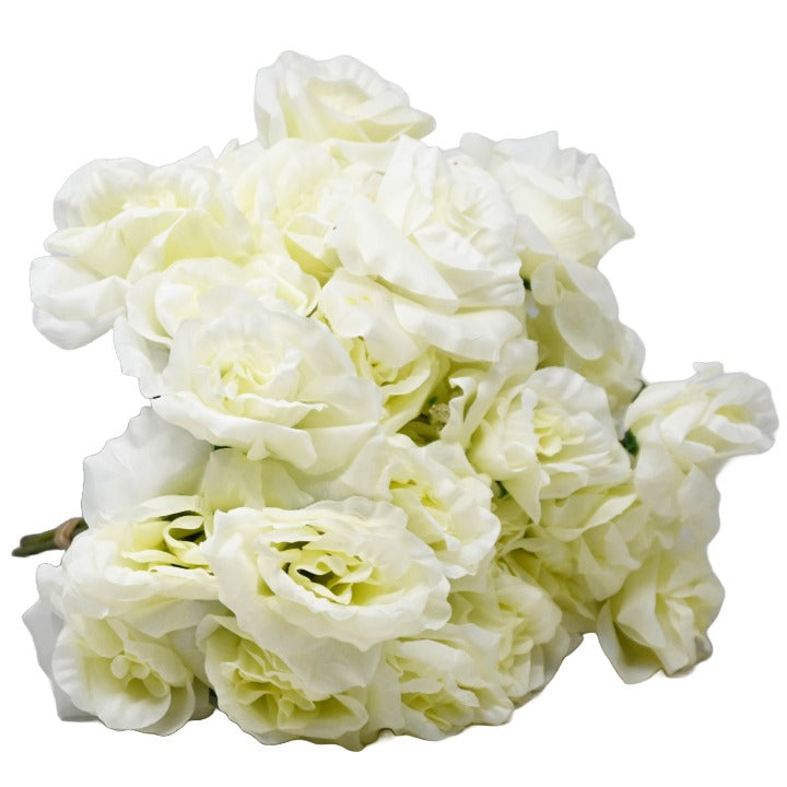 Cream Rose Bush 6 Flowers C/P 288