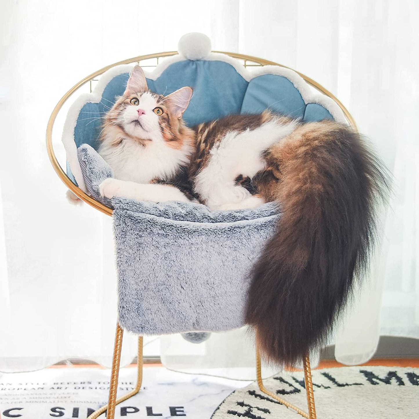 UNFOLDED GRAY/BLUE CAT BED C/P 25