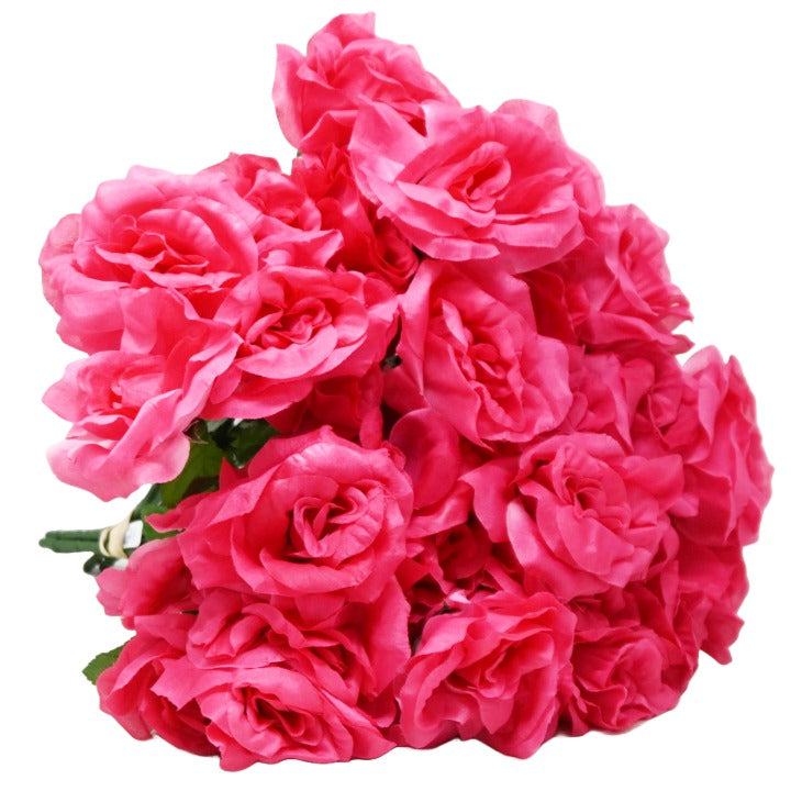 ABeauty Rose Bush 6 Flowers C/P 288