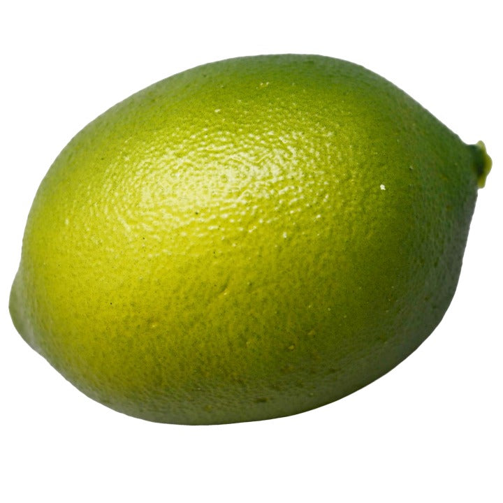 *NO CA*Lemon C/P 288