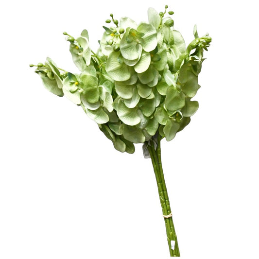 Green 38" Satin Orchid Spray 8 Flowers C/P 96