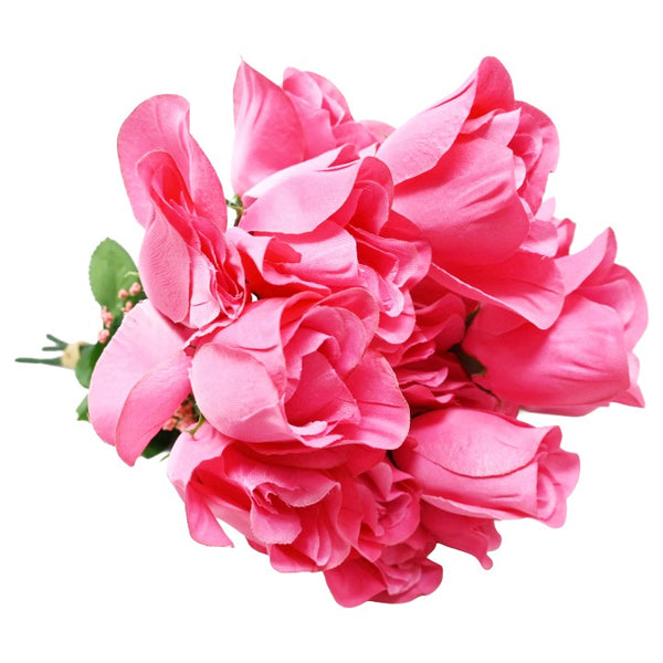 American Beauty Red Rose Bud Bush 6 Flowers C/P 240