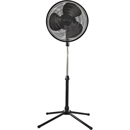 16" BLACK OSCILLATING PEDESTAL FAN C/P 1