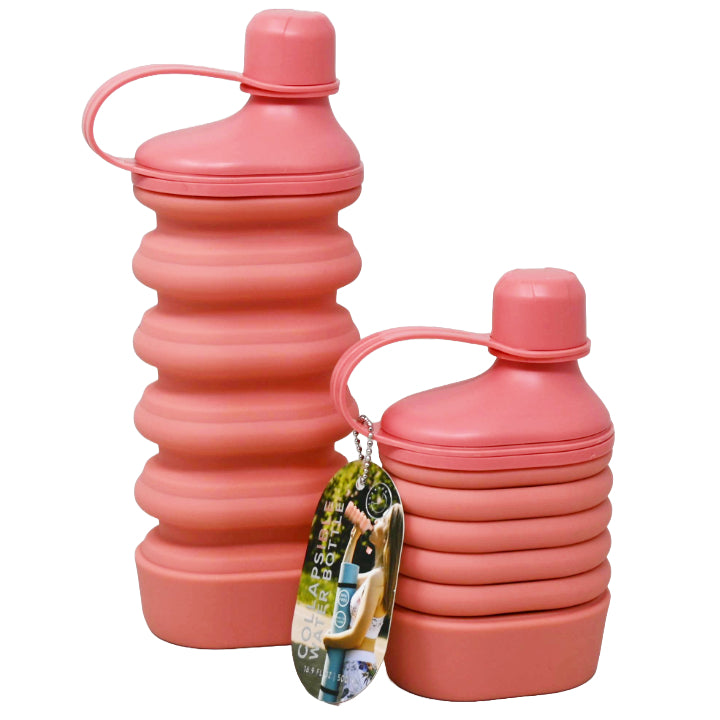 CH 16.9OZ SILICONE WATER BOTTLE C/P 48 CHANDRA
