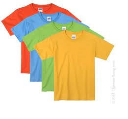 Gildan Toddler T-shirt Asst. Size & Clrs. C/P 72