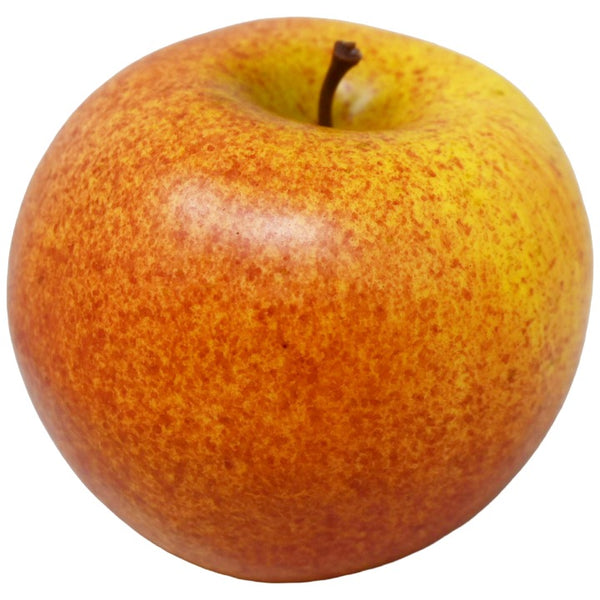 *NO CA*Clr Fuji Apple C/P 288