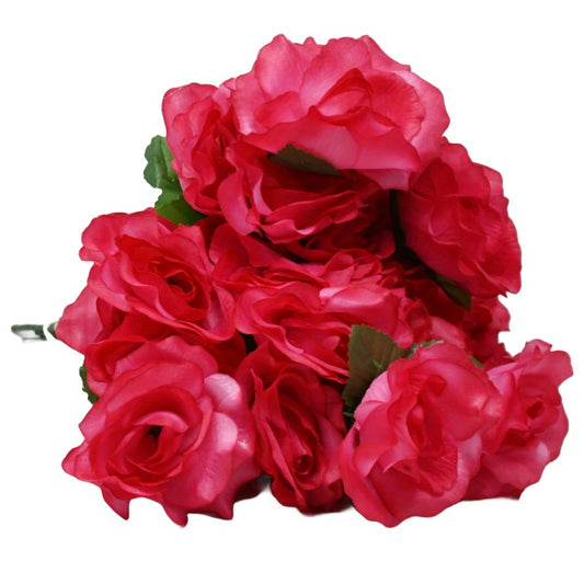 ABeauty Rose Bush 6 Flowers C/P 288