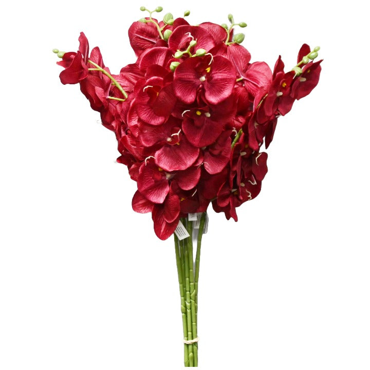 Red 38" Satin Orchid Spray 8 Flowers C/P 96
