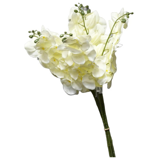 Cream 38" Satin Orchid Spray 8 Flowers C/P 96