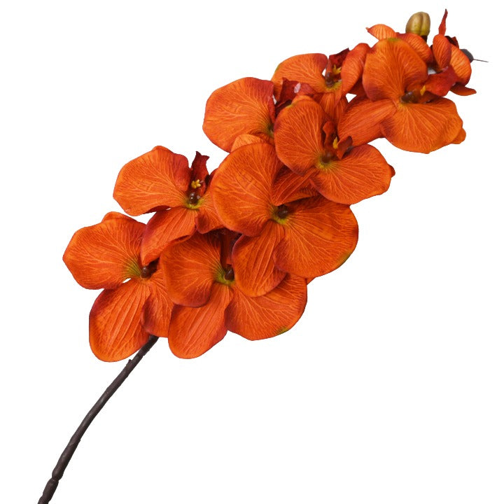 Rust 38" Satin Orchid Spray 10 Flowers C/P 96