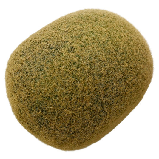 *NO CA*Kiwi C/P 288