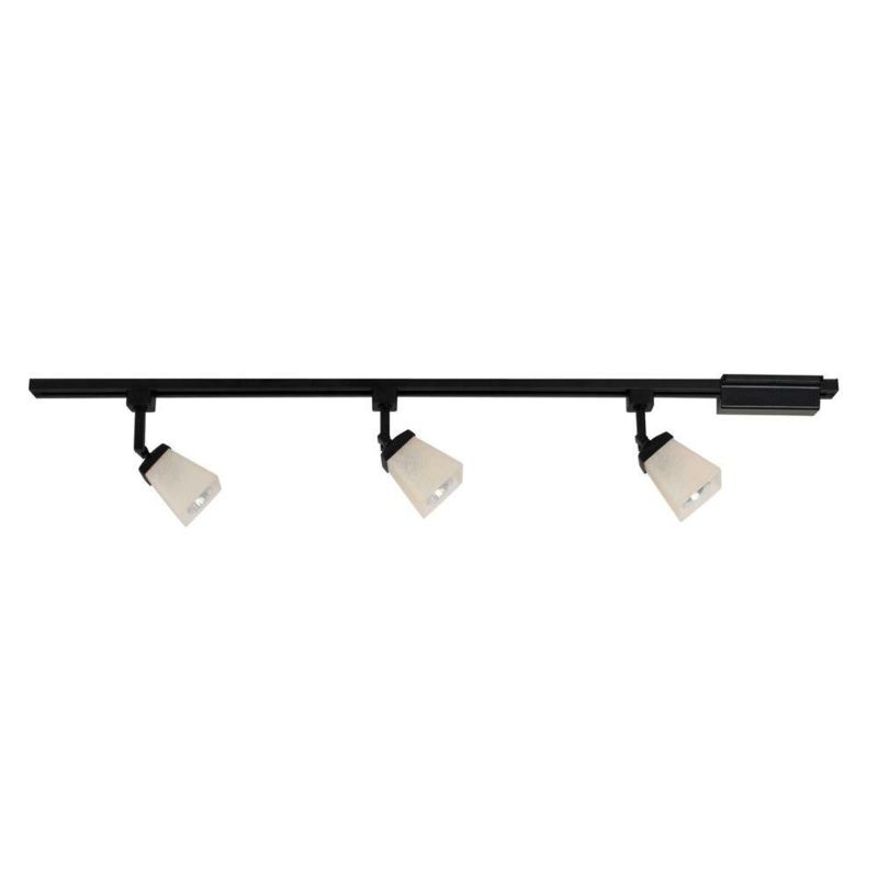 44" 3-LIGHT BLACK FINISH TRACK SECTION C/P 1,COLOR BOX