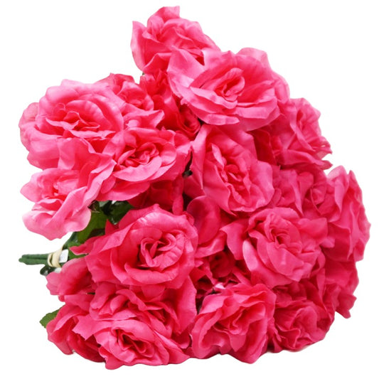 ABeauty Rose Bush 6 Flowers C/P 288