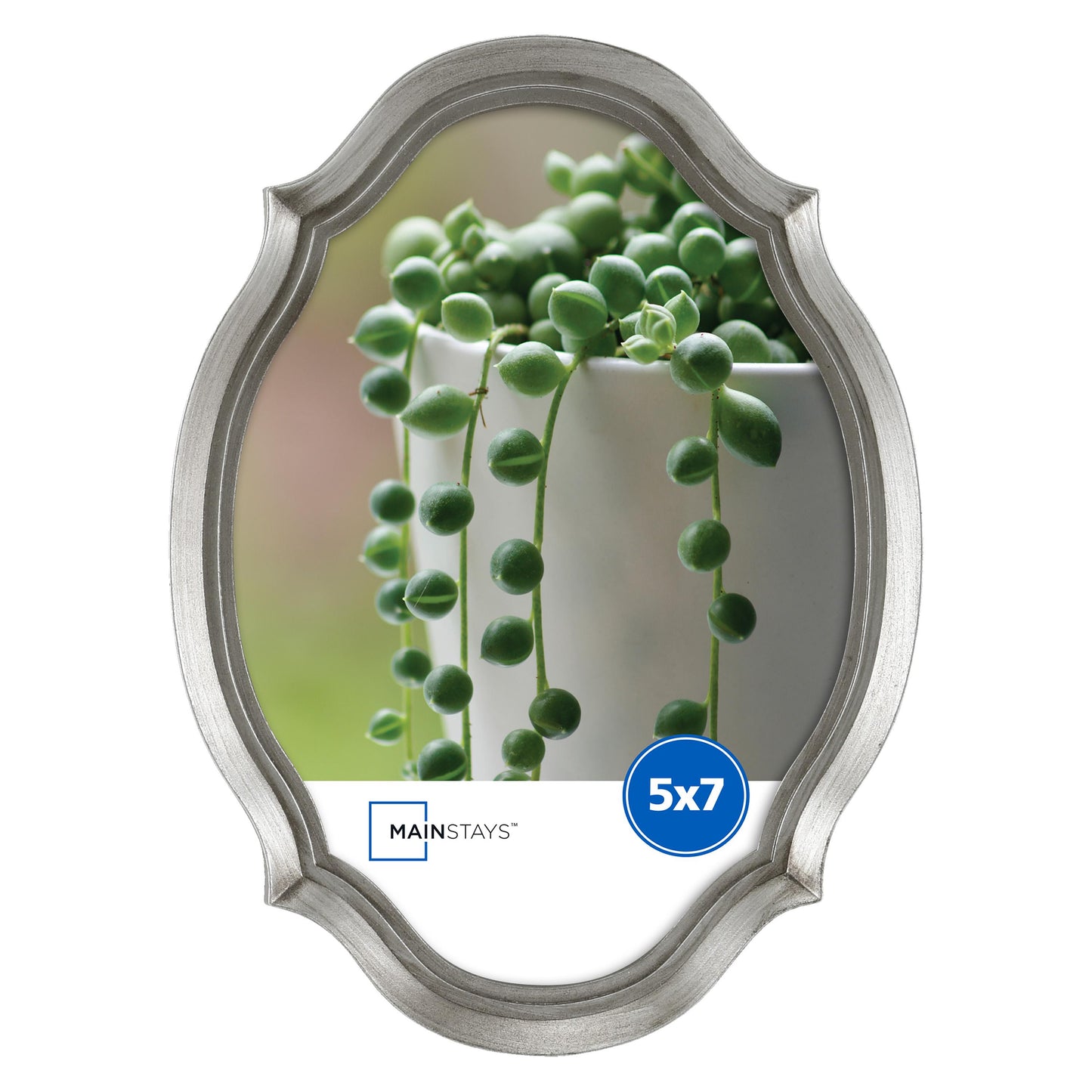 5"X7" Silver Frame C/P 3