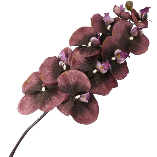 Mve 38" Satin Orchid Spray 10 Flowers C/P 96