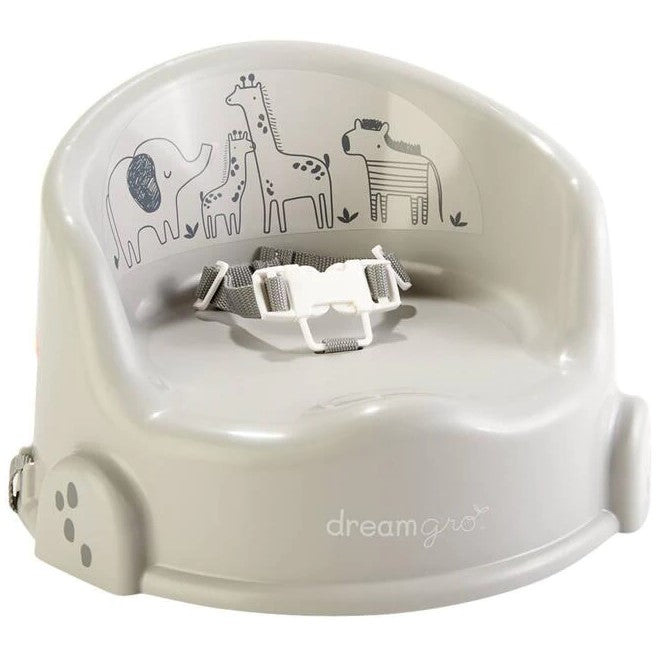 DG PLASTIC BOOSTER SEAT C/P 10