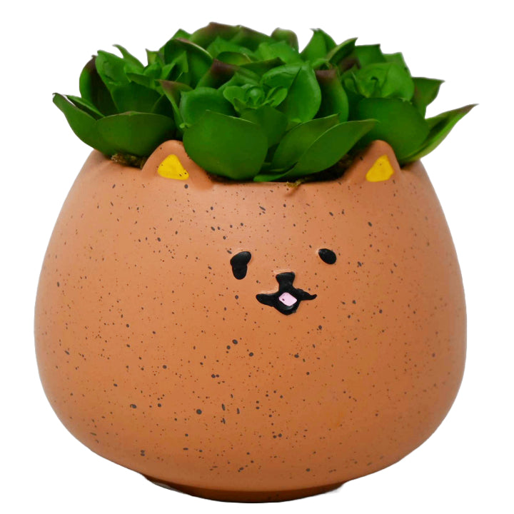 5.5"L Ceramic Animal Planter wSucculent C/P 8