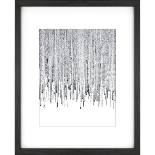 16X20" BLK MATTED WOOD FRAME C/P 1