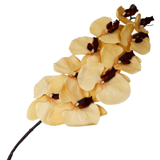 Beige 38" Satin Orchid Spray 10 Flowers C/P 96