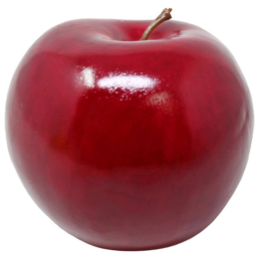 *NO CA*Shiny Rd Apple C/P 288