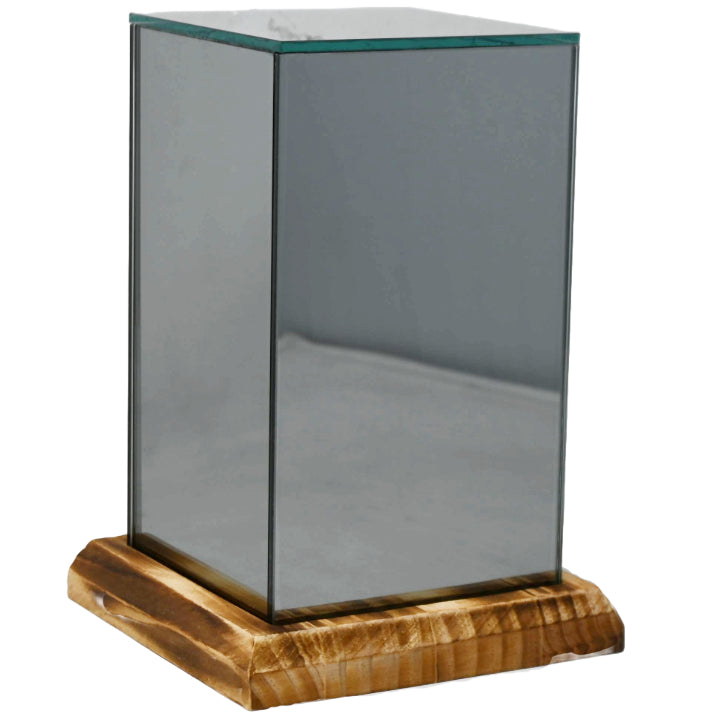 GLASS VASES W/LED STRING LIGHT W/O BATTERIES C/P 8