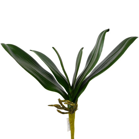 REAL TOUCH ORCHID LEAF 6 LEAVES C/P 144