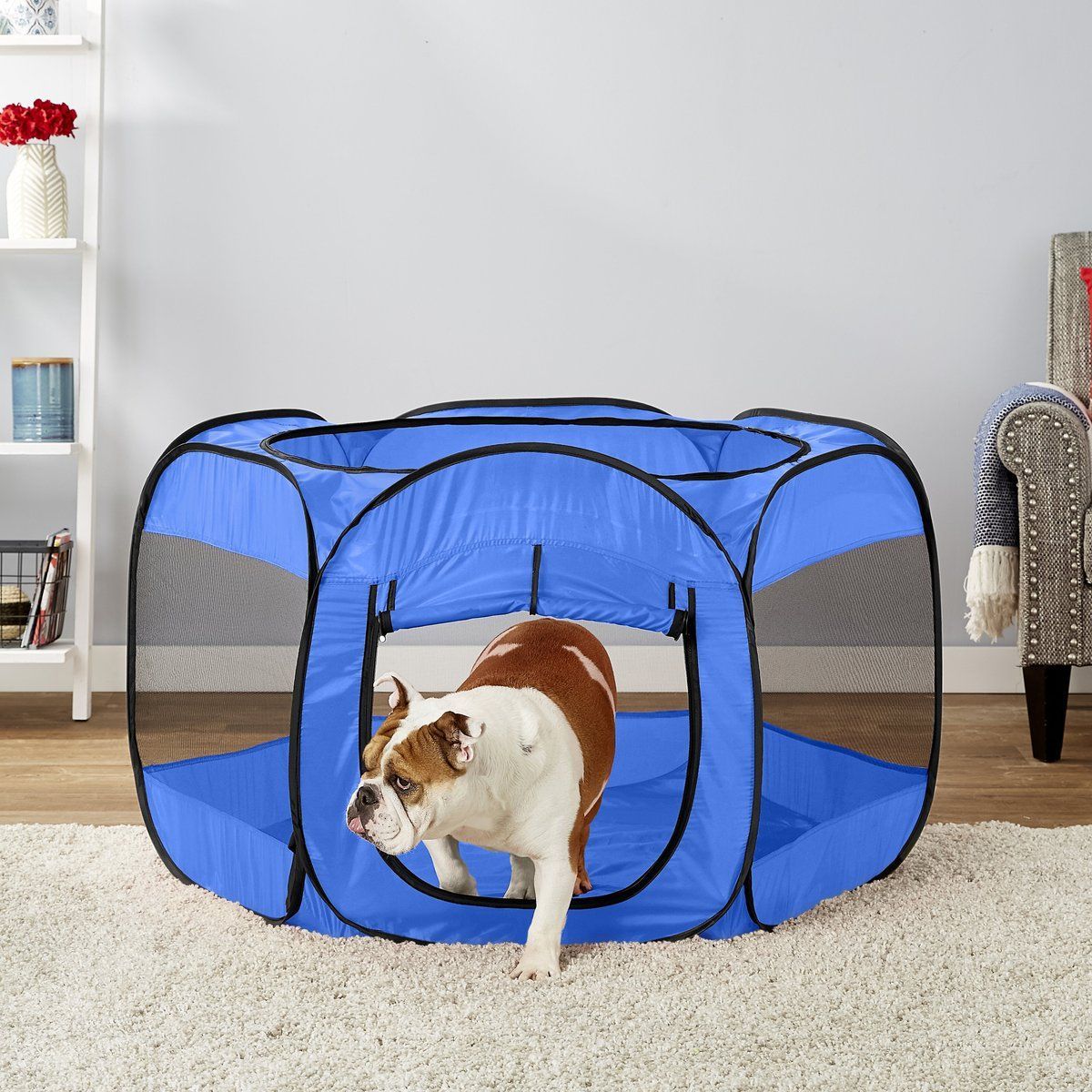 48"L X 48"W X 25"H PAWS & PALS BLUE PLAYPEN INSTA-FORT C/P 16