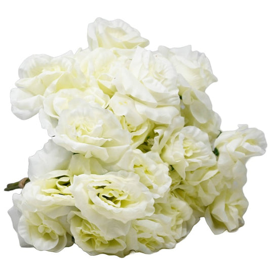 Cream Rose Bush 6 Flowers C/P 288