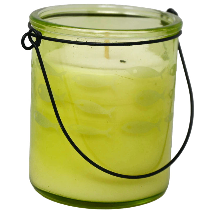 7oz CITRONELLA CANDLE IN JAR C/P 12