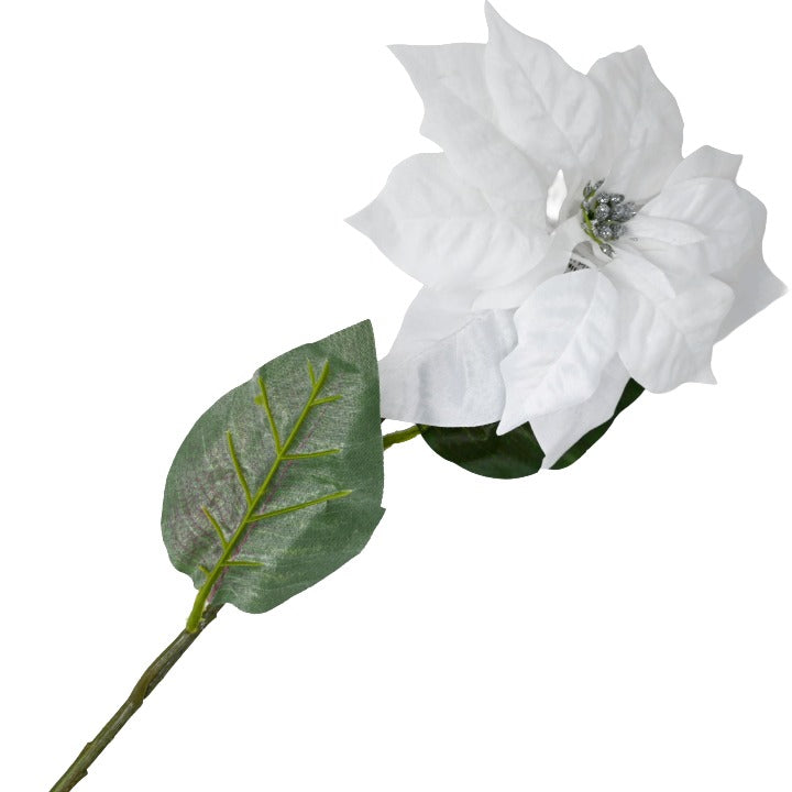 WHITE VELVET POINSETTIA STEM C/P 144