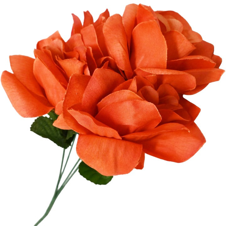 ORANGE MP ROSE BUSH 5 FLOWERS PRINT C/P 192
