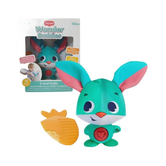 TINY LOVE WONDER BUDDIES THOMAS C/P 6