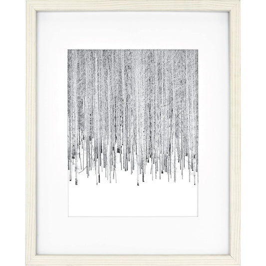 16X20" WHT MATTED WOOD FRAME C/P 1