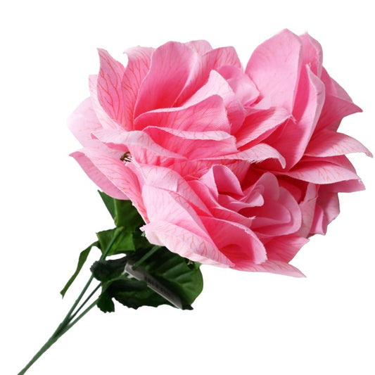 BLUSH MP ROSE BUSH 5 FLOWERS PRINT C/P 192
