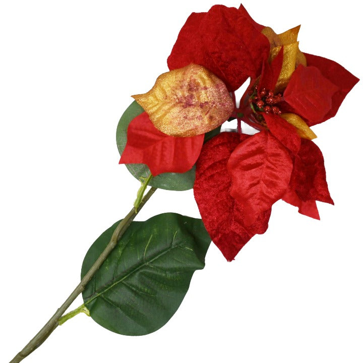 RED GOLD VELVET POINSETTIA STEM C/P 144