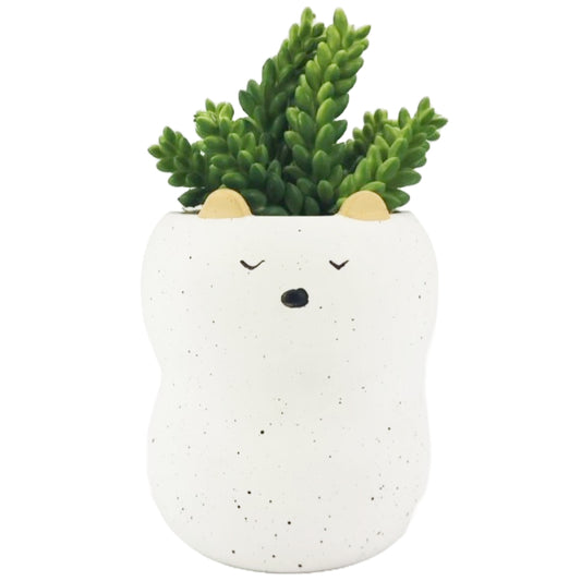 5.5"H Ceramic Animal Planter wSucculent C/P 8