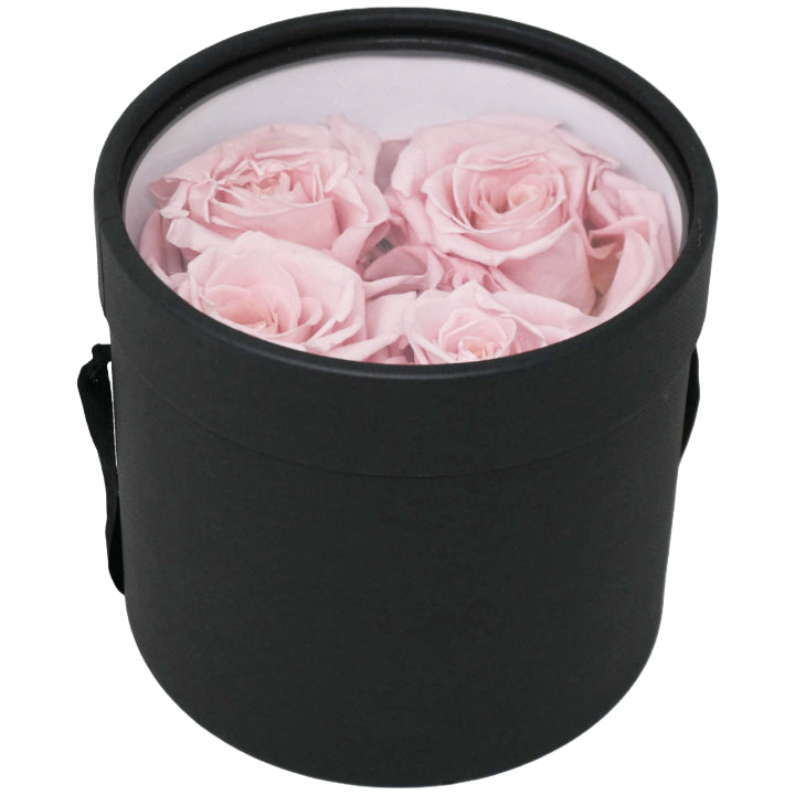 4pc PINK ROSE SET C/P 48