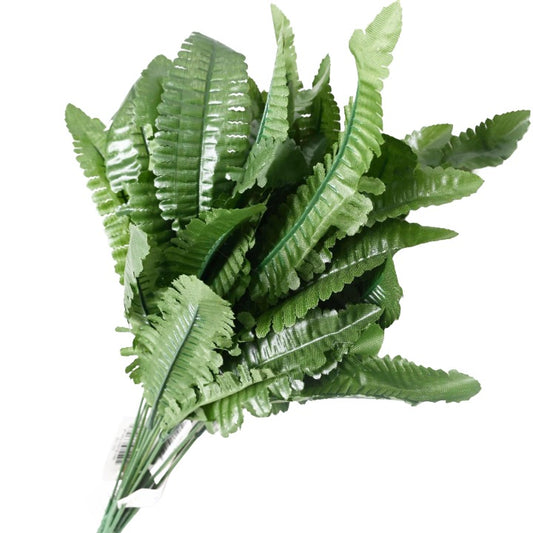 MINI BOSTON FERN 6 LEAVES C/P 288