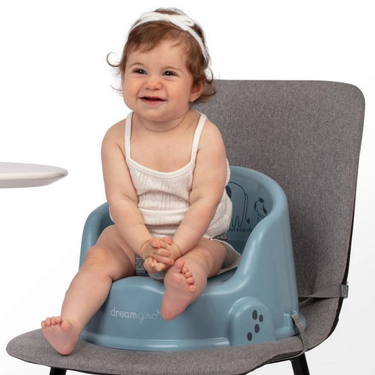 DG PLASTIC BOOSTER SEAT C/P 10