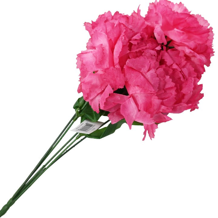 American Beauty Red Carnation Bush 5 Flowers C/P 360